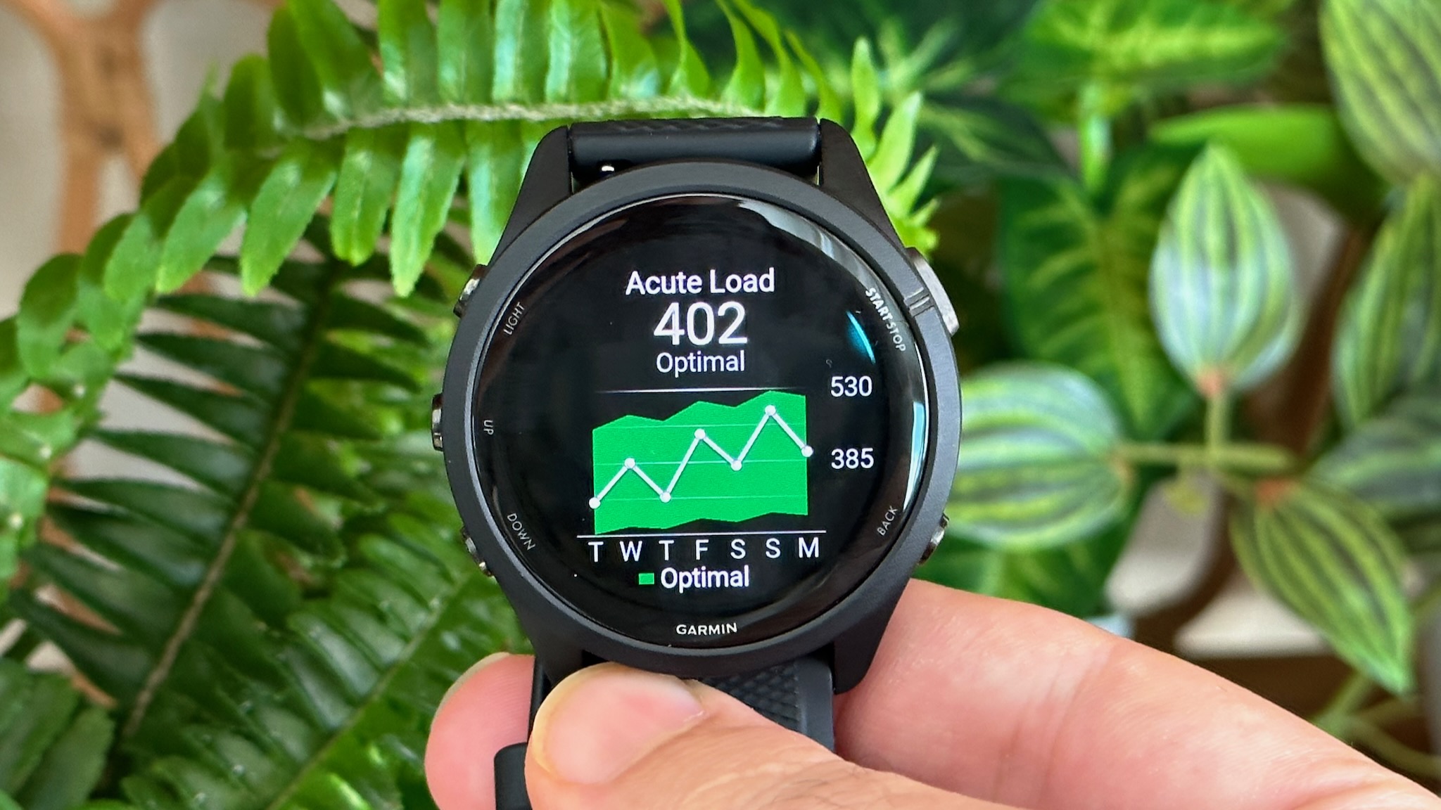 Acute load data on the Garmin Forerunner 265