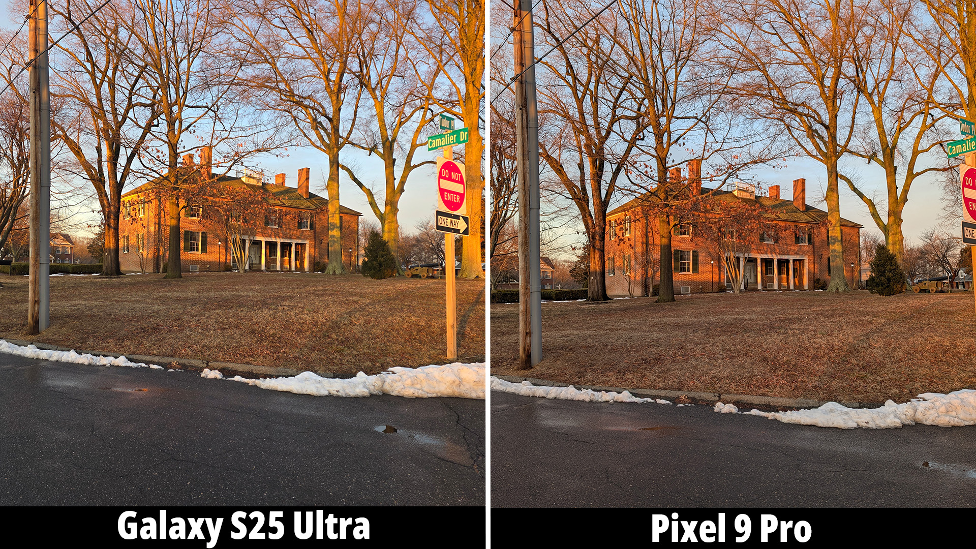 Samsung Galaxy S25 Ultra camera versus the Google Pixel 9 Pro