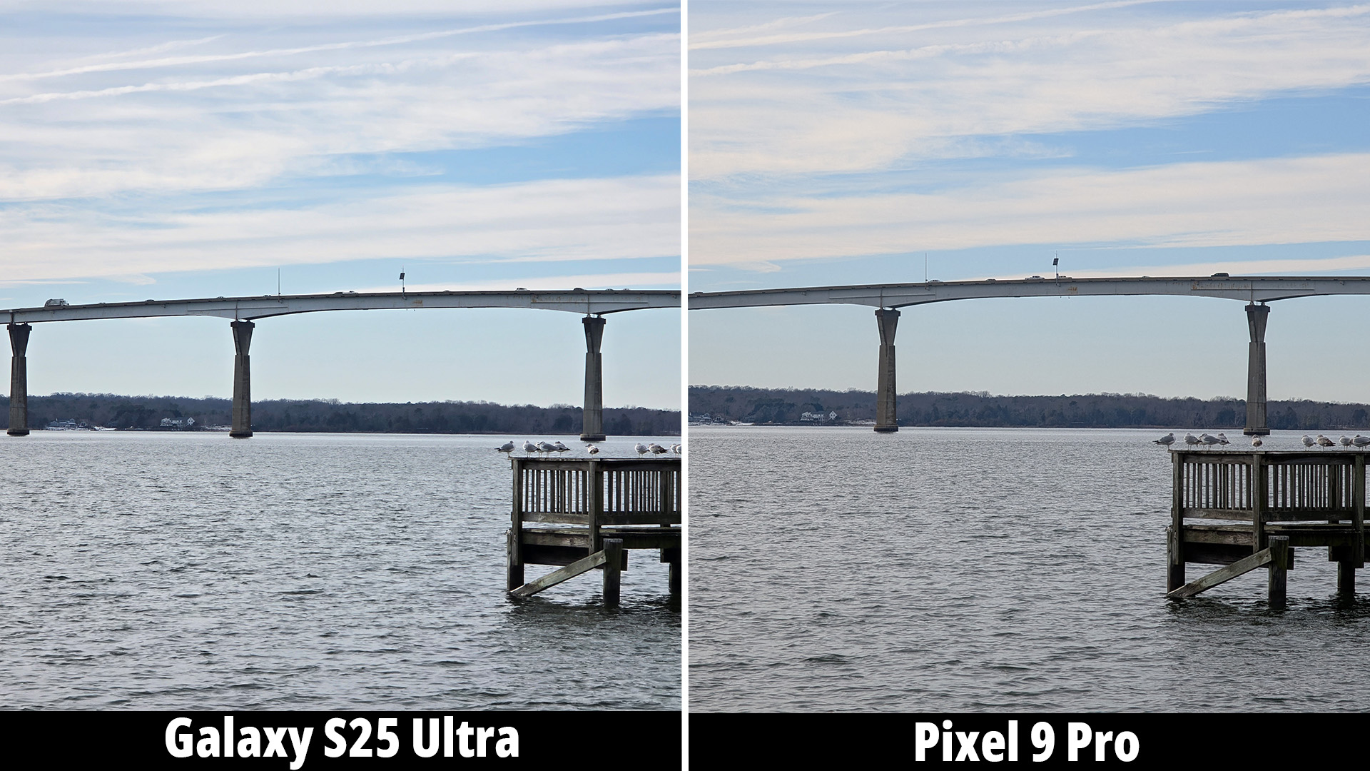 Samsung Galaxy S25 Ultra camera versus the Google Pixel 9 Pro