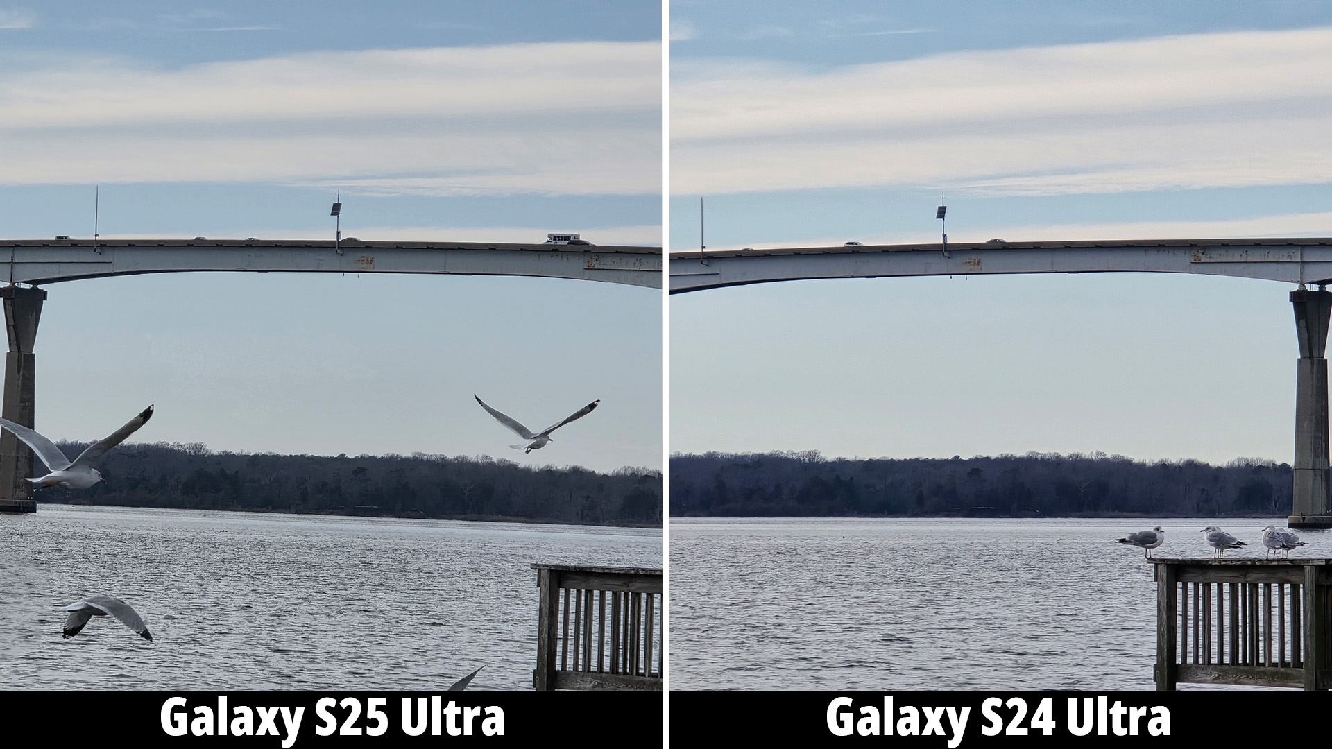 Samsung Galaxy S25 Ultra camera versus the Galaxy S24 Ultra