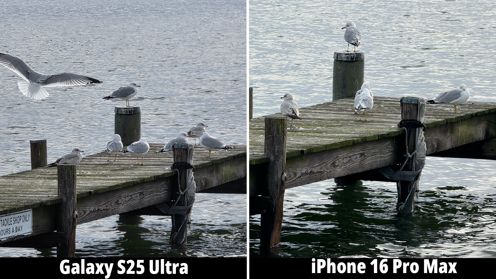 Samsung Galaxy S25 Ultra camera versus the iPhone 16 Pro Max