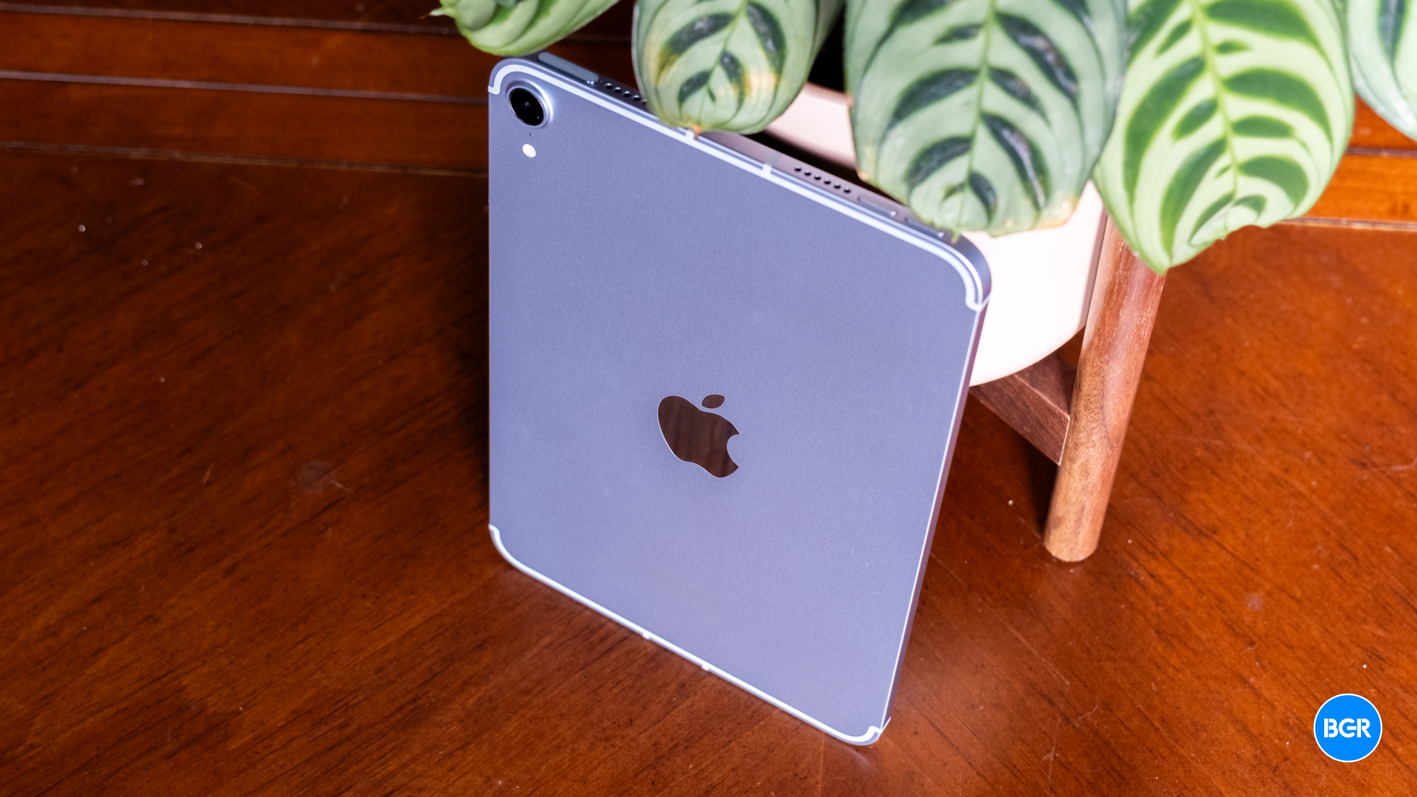 Top-down view of the 2024 iPad Mini leaning on a plant.