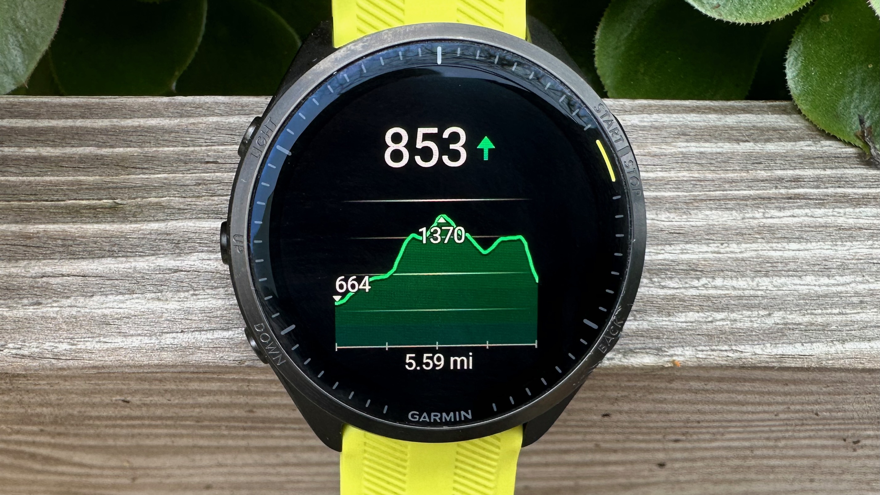 The Garmin Forerunner 965 showing the elevation profile for a course