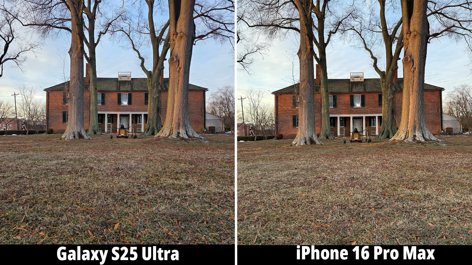 Samsung Galaxy S25 Ultra camera versus the iPhone 16 Pro Max