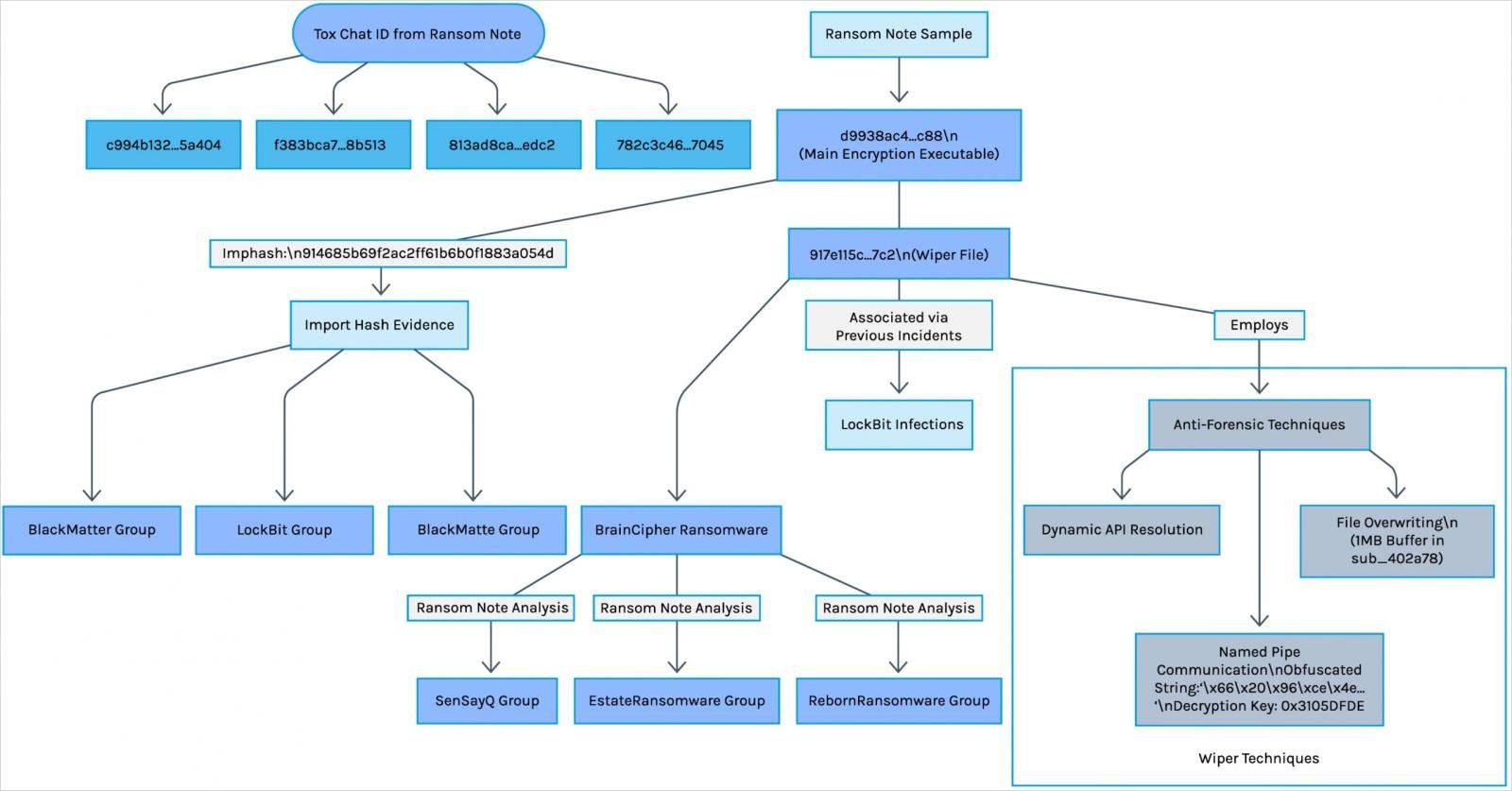 Relationship diagram based on the available evidence