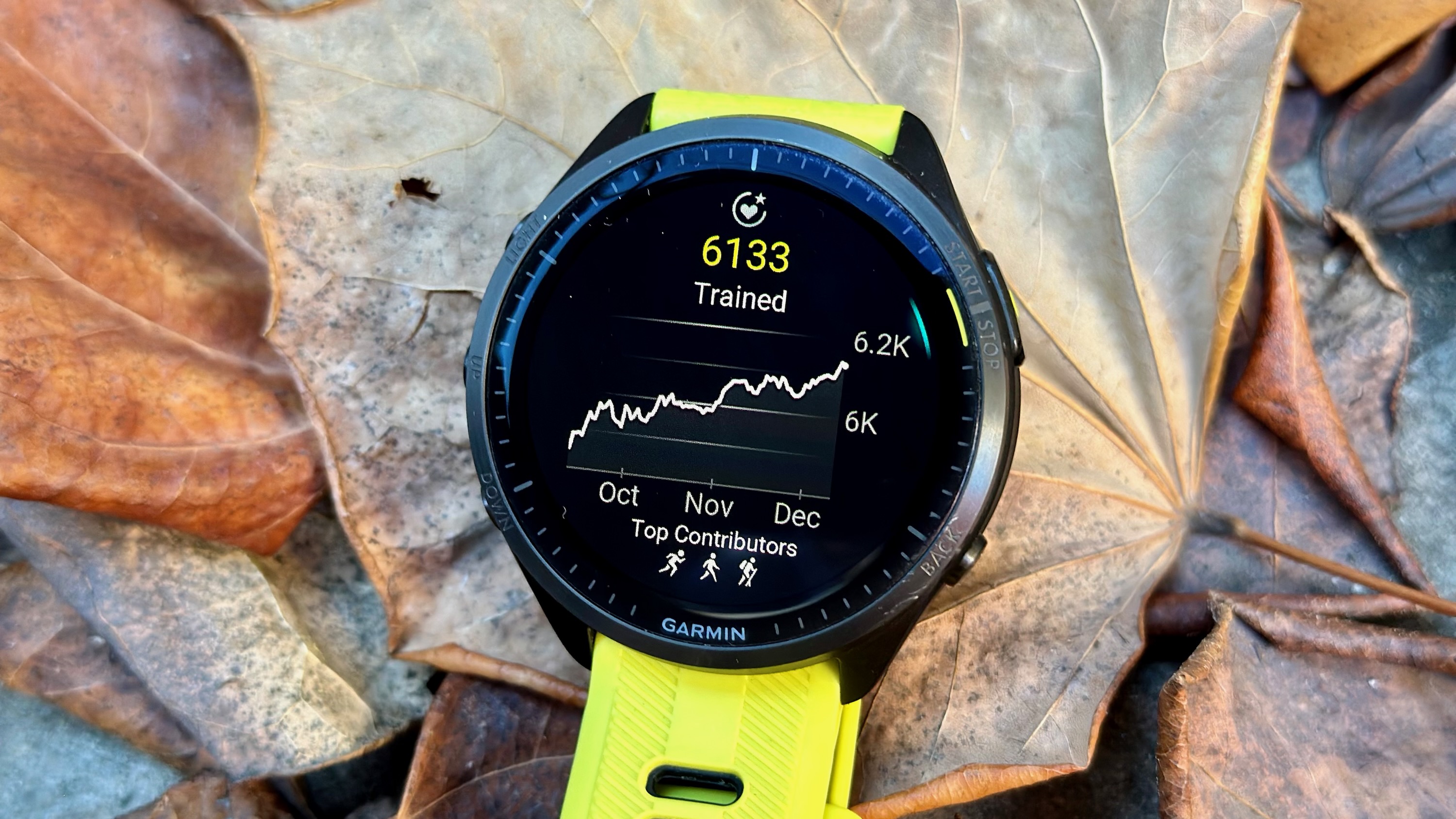 Endurance score on the Garmin Forerunner 965